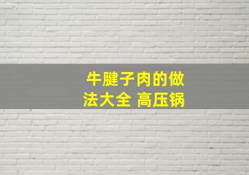 牛腱子肉的做法大全 高压锅